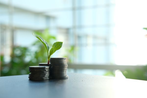 Les Entreprises et la Fiscalité Écologique : Un Défi Crucial pour un Avenir Durable